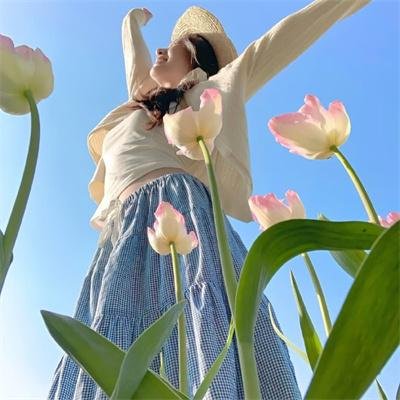 暗金烂狗6